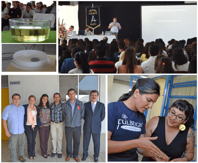 Screenshot 2015-04-25 02.10.21